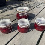 Färsfylld cannelloni